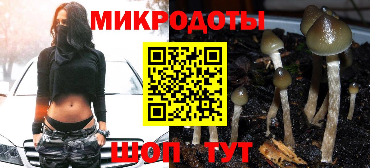 Реж  Псилоцибиновые грибы Cubensis  Вход с VPN  Псилоцибиновые грибы Cubensis 